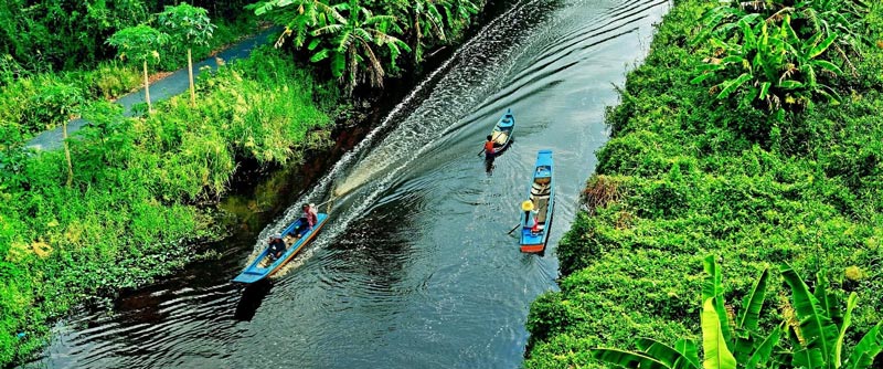 Rừng Quốc gia U Minh Hạ là một trong những khu rừng ngập mặn lớn nhất Việt Nam